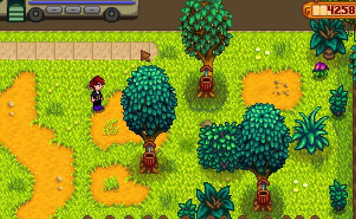 巫师3：狂猎 终极版 截图2