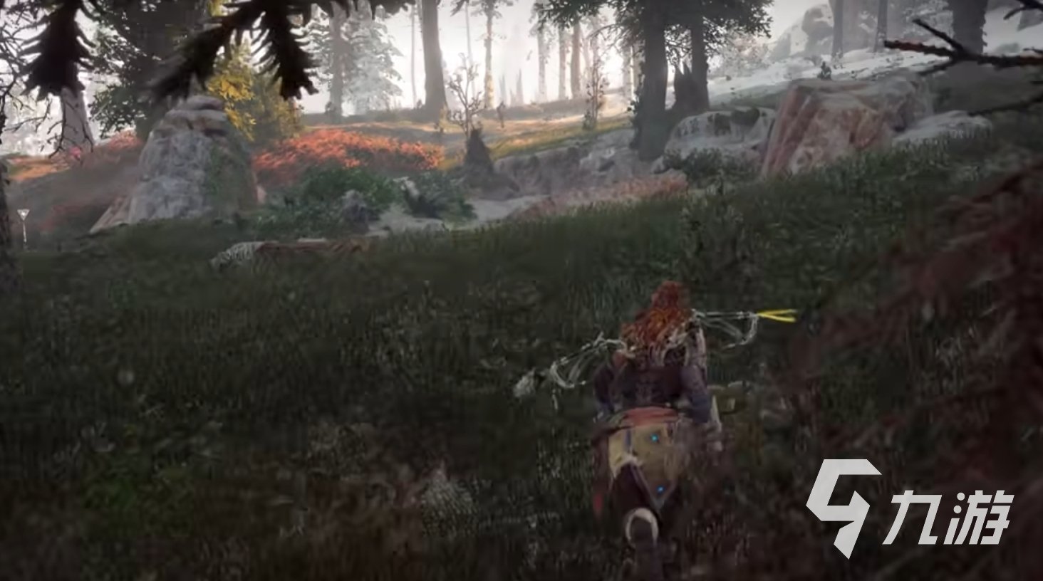 巫师3：狂猎 豪华版 截图13