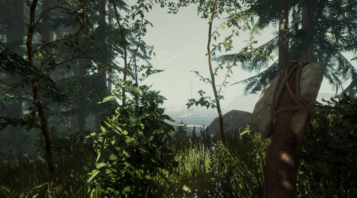 F1 2024 豪华版 截图5