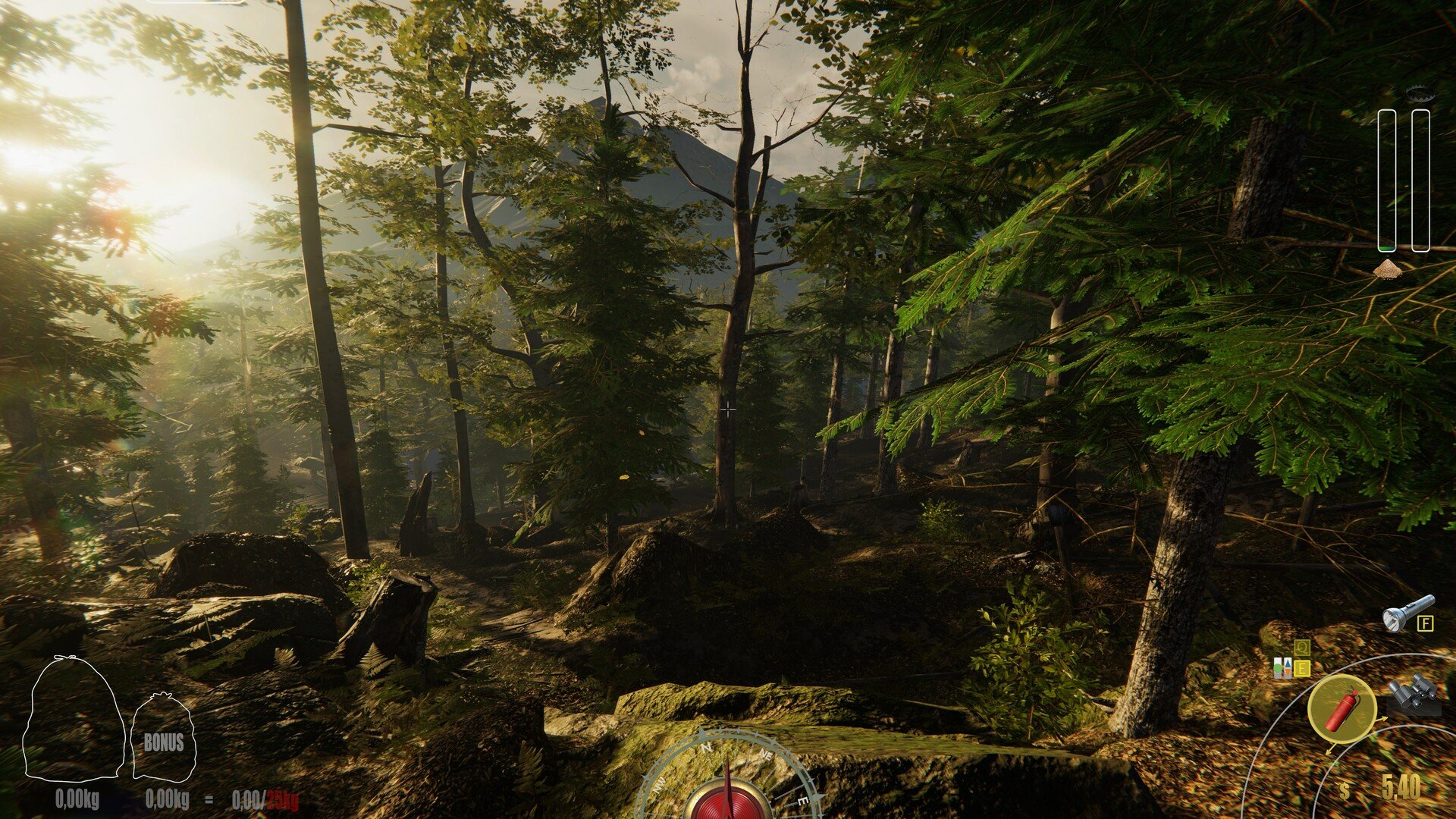 F1 2024 豪华版 截图21