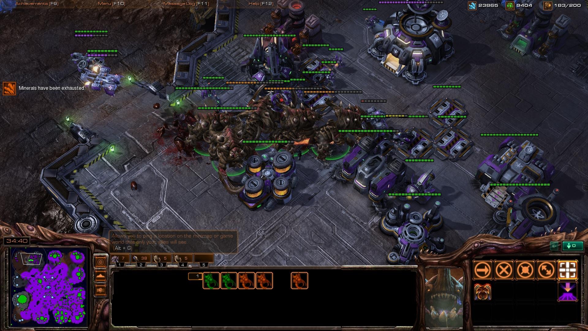 F1 2024 豪华版 截图22